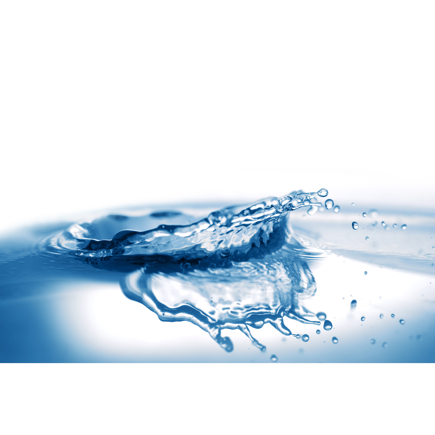 Additive of metal working oil