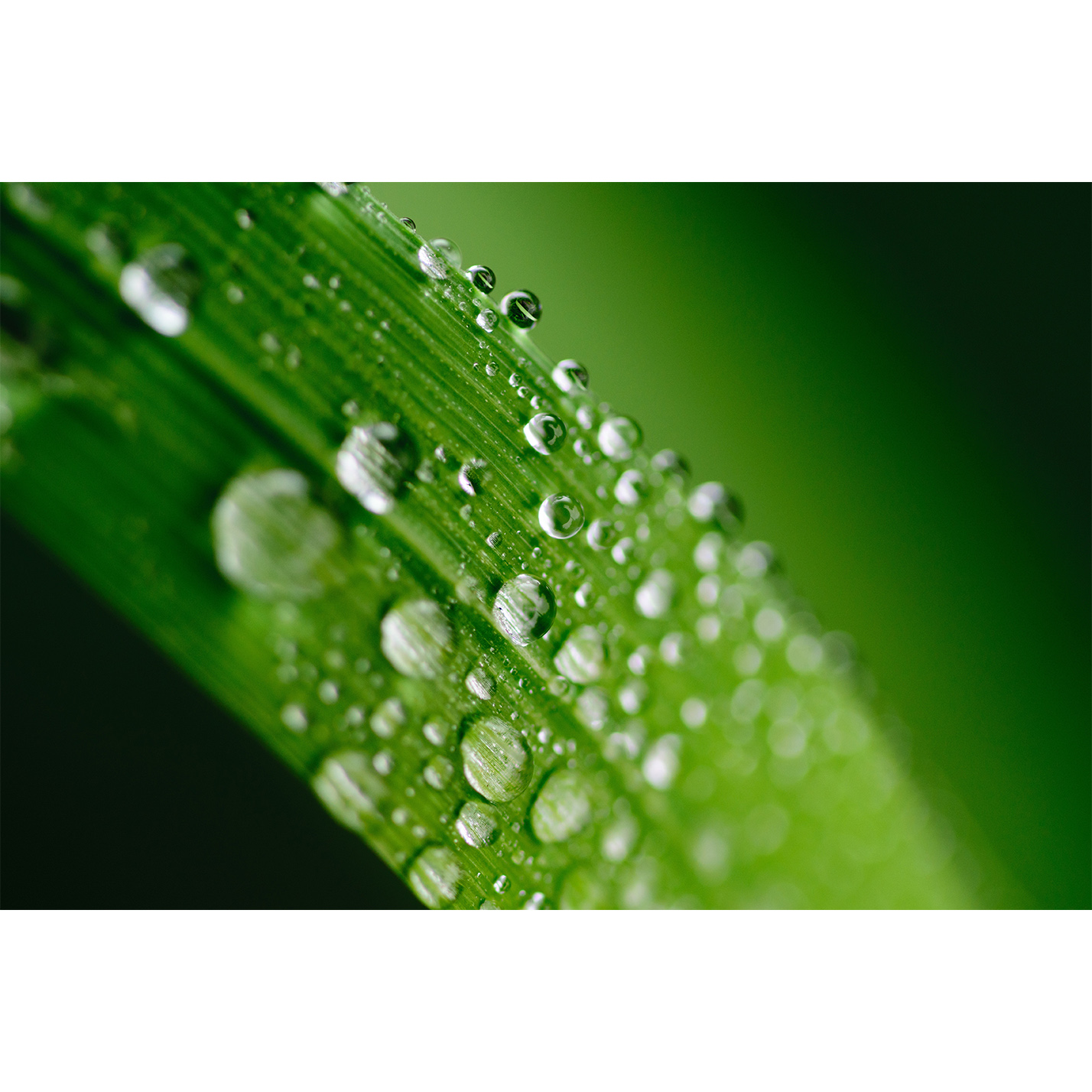 Biodegradable hydraulic fluid base oil for HFD-U system